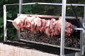 IMG_0173