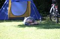 IMG_0180